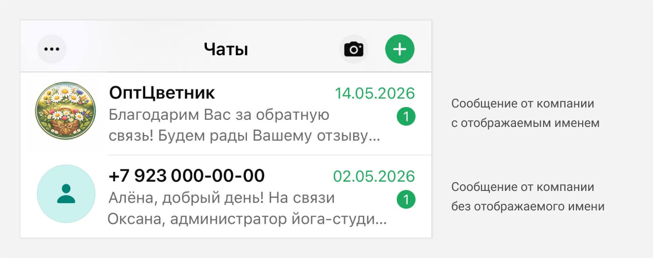 Отображение номера вместо названия компании в профиле WABA