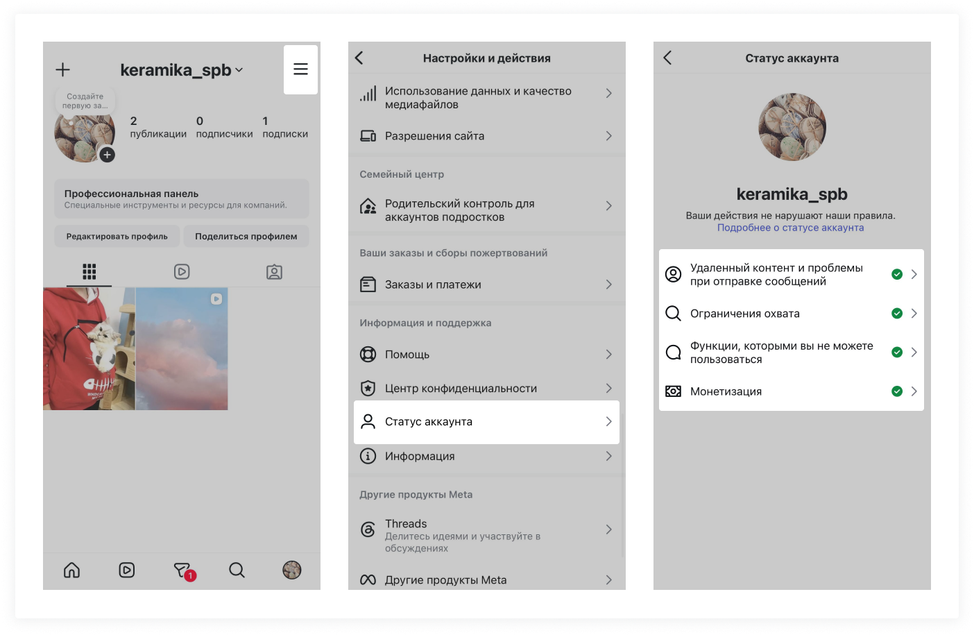 Раздел «Статус аккаунта» в настройках Instagram