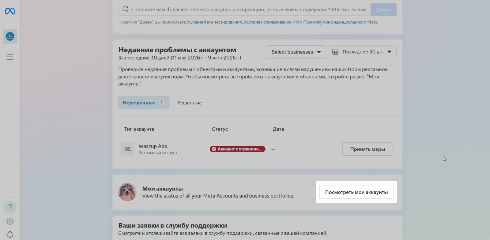 Кнопка «Посмотреть мои аккаунты»