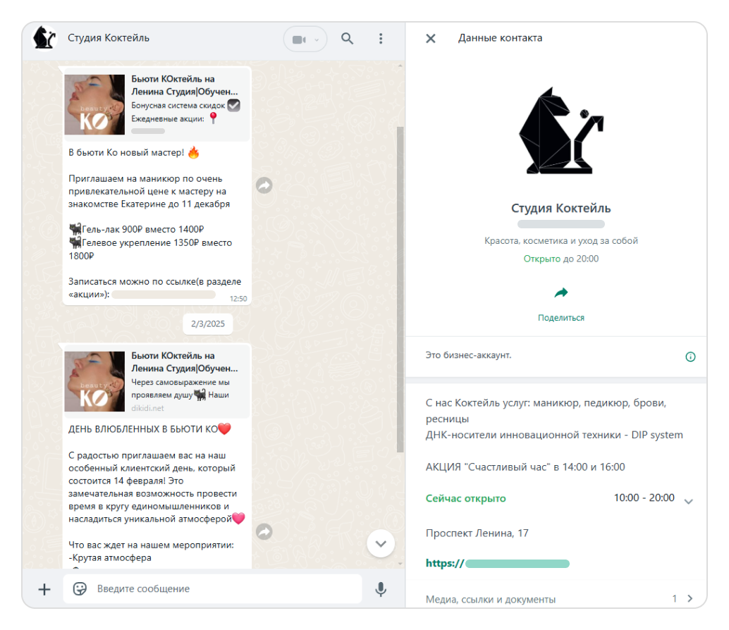 Скриншот заполненного профиля в WhatsApp Business